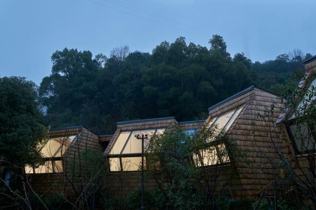 BIM建筑|杨梅树下的瞻仰——星立方 / 中国美术学院景致建筑设计研讨总院