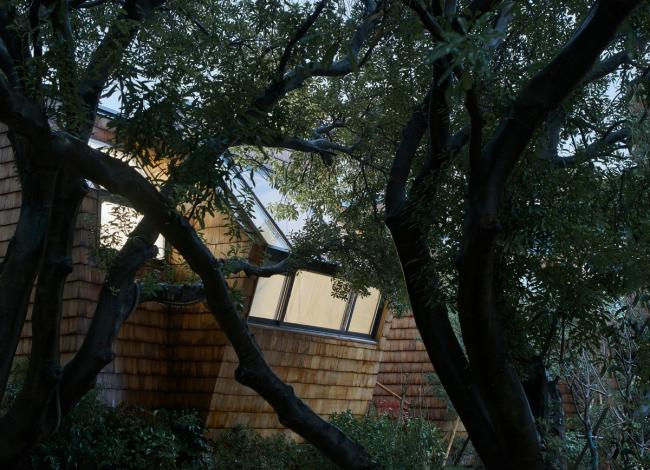 BIM建筑|杨梅树下的瞻仰——星立方 / 中国美术学院景致建筑设计研讨总院