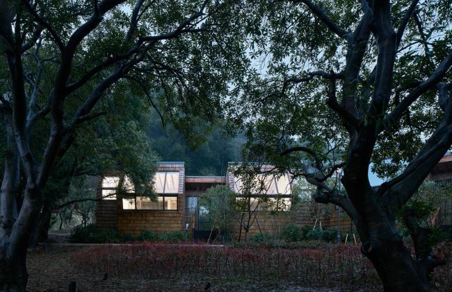 BIM建筑|杨梅树下的瞻仰——星立方 / 中国美术学院景致建筑设计研讨总院