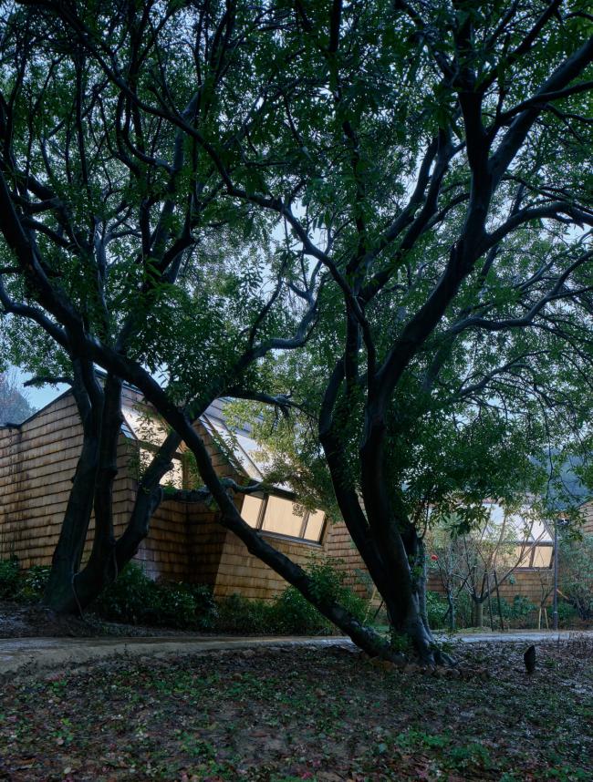 BIM建筑|杨梅树下的瞻仰——星立方 / 中国美术学院景致建筑设计研讨总院