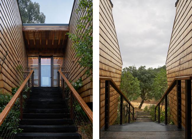 BIM建筑|杨梅树下的瞻仰——星立方 / 中国美术学院景致建筑设计研讨总院