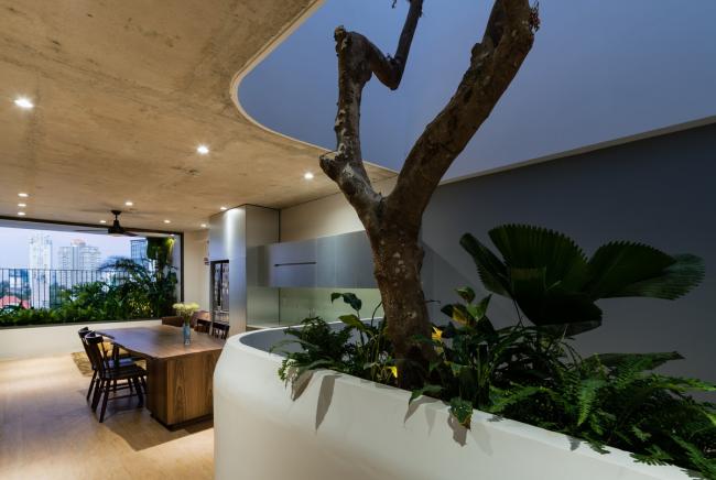 BIM建筑|迎风微笑的垂直花圃室第 / H2