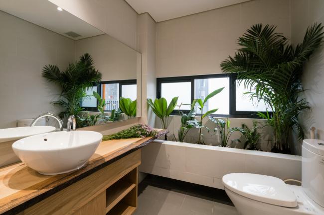 BIM建筑|迎风微笑的垂直花圃室第 / H2