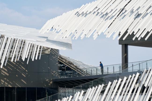 BIM建筑|摄影作品：阳澄湖旅客集散中间 / 隈研吾建筑都会设计事务所