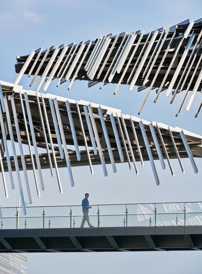 BIM建筑|摄影作品：阳澄湖旅客集散中间 / 隈研吾建筑都会设计事务所