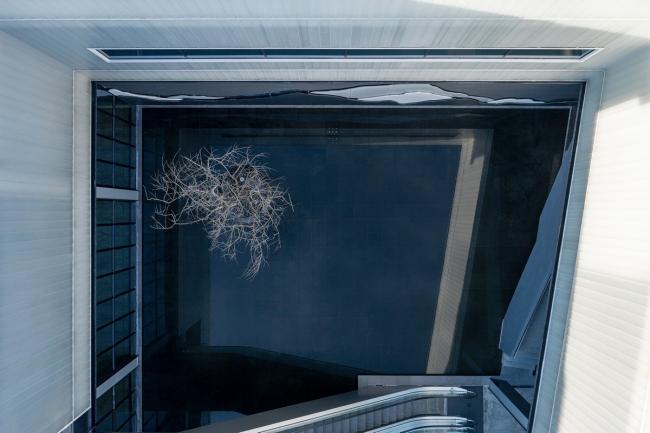 BIM建筑|在静谧诗意的空间，体验回隐的生涯艺术：领秀山艺术馆 / 霍普股份HYP-ARCH