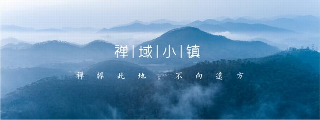 BIM建筑|禅缘此地，不向远方——新兴禅域小镇 / 境作品