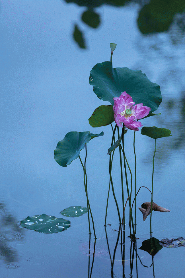 BIM建筑|禅缘此地，不向远方——新兴禅域小镇 / 境作品