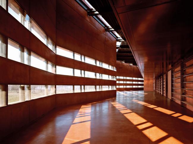 BIM建筑|一本散落墙角，页面泛黄的书：科尔诺公共藏书楼和会堂