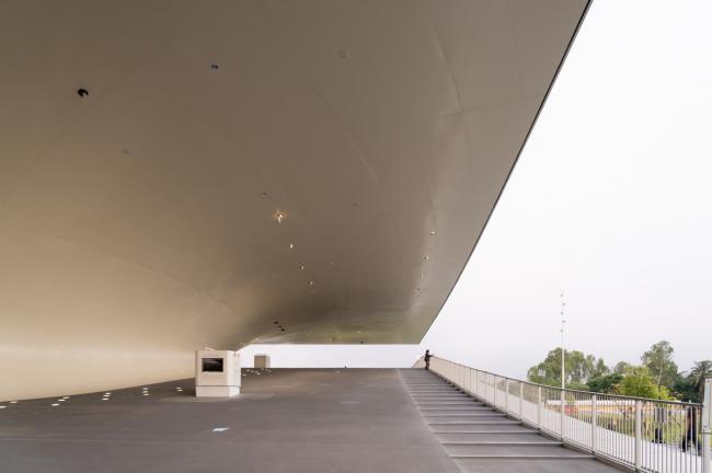 BIM建筑|如榕树根须般自由发展延长：高雄艺术中间 / Mecanoo