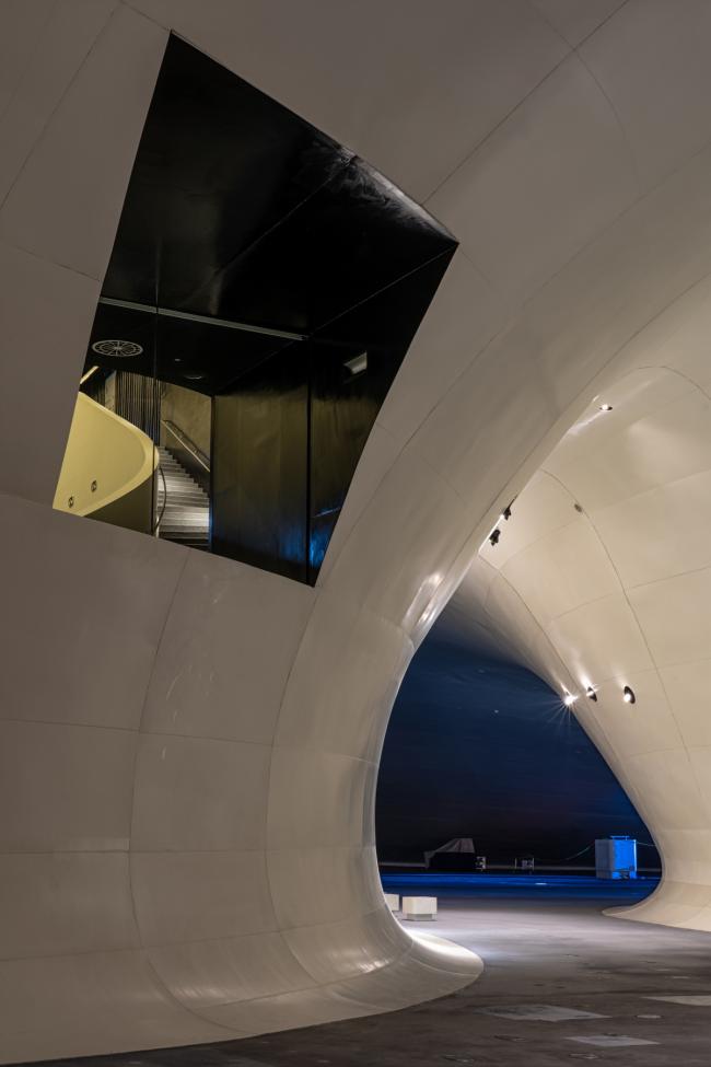 BIM建筑|如榕树根须般自由发展延长：高雄艺术中间 / Mecanoo