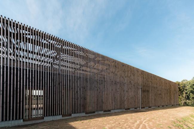 BIM建筑|橡树下远想：山的何处是什么？——法国村落黉舍