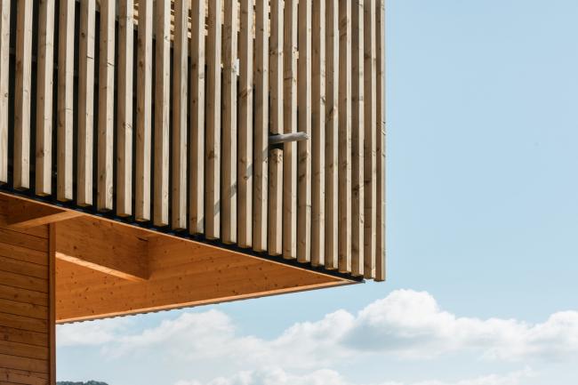 BIM建筑|橡树下远想：山的何处是什么？——法国村落黉舍