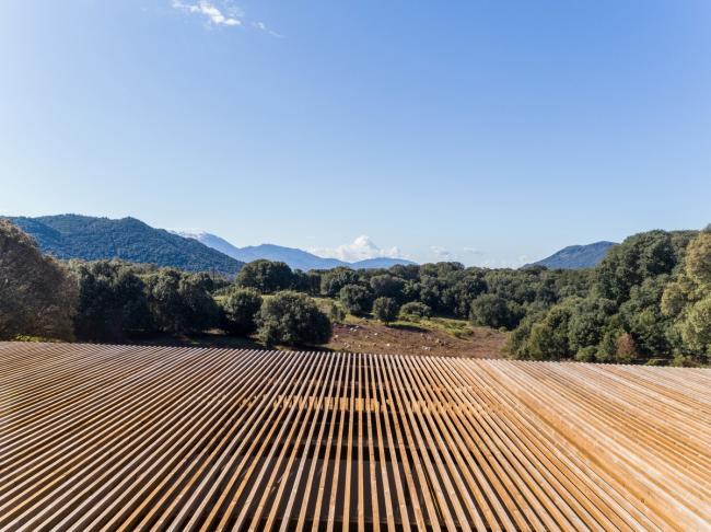 BIM建筑|橡树下远想：山的何处是什么？——法国村落黉舍