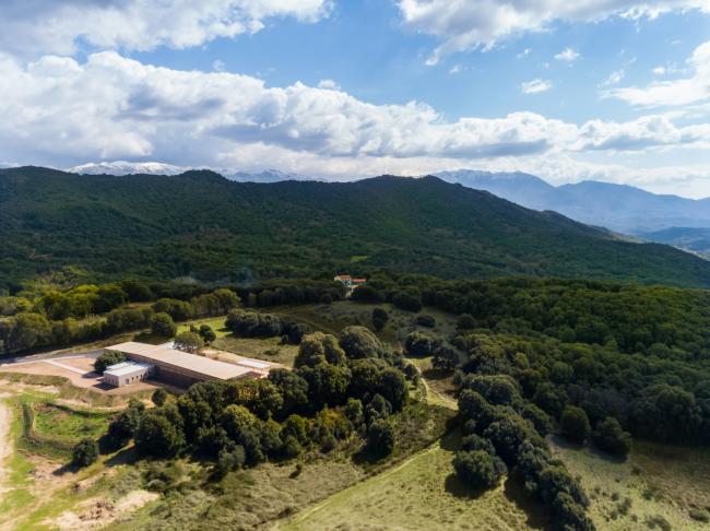 BIM建筑|橡树下远想：山的何处是什么？——法国村落黉舍