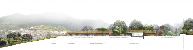 BIM建筑|橡树下远想：山的何处是什么？——法国村落黉舍