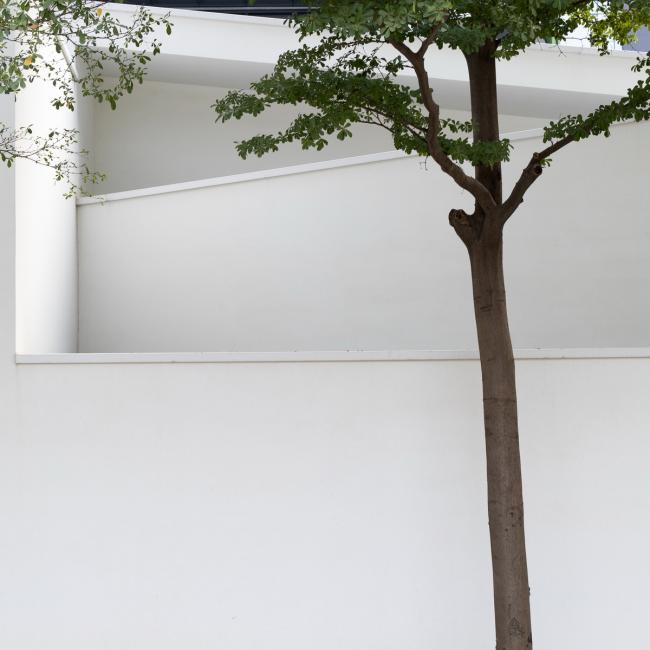 BIM建筑|简约而有格调的生涯美学馆 / 墨照建筑设计事务所