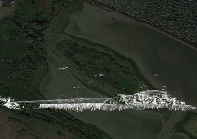 BIM建筑|栖息于水畔的水鸟蛋：Tij 不雅鸟屋 / RO&AD Architecten