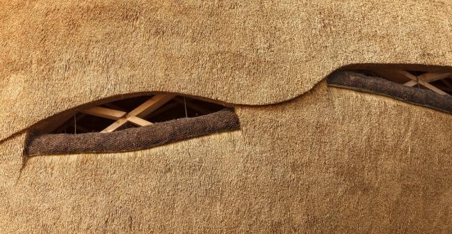 BIM建筑|栖息于水畔的水鸟蛋：Tij 不雅鸟屋 / RO&AD Architecten