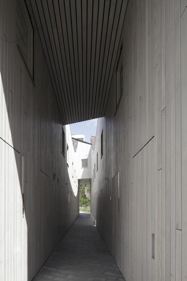 BIM建筑|如同随风舞动的旗号：荷兰Hidden Delights公寓 / NL Architects