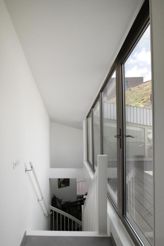 BIM建筑|如同随风舞动的旗号：荷兰Hidden Delights公寓 / NL Architects