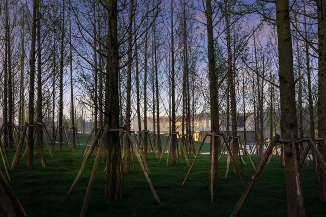 BIM建筑|濑溪河生态体育公园 / 上海天华园林景不雅有限公司