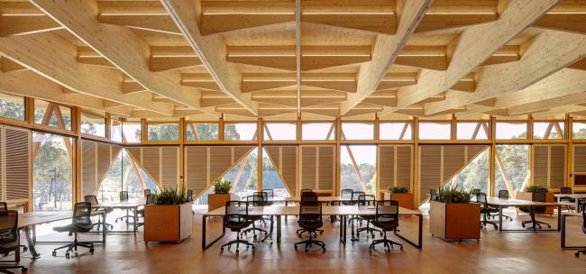 BIM建筑|通透坦荡，翘首以盼，引领立异：麦考瑞年夜学创业孵化中间 / Architectus