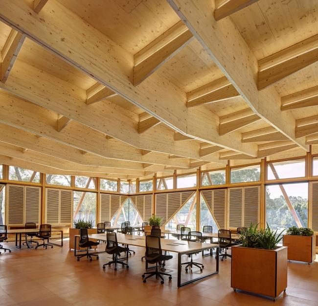 BIM建筑|通透坦荡，翘首以盼，引领立异：麦考瑞年夜学创业孵化中间 / Architectus