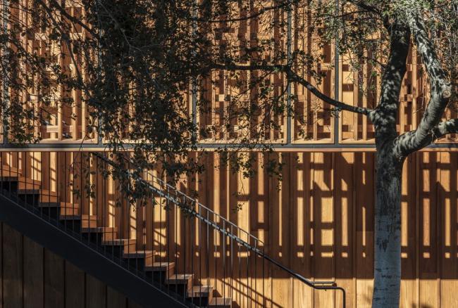 BIM建筑|光影斑驳，坐落湖畔的学术交换中间