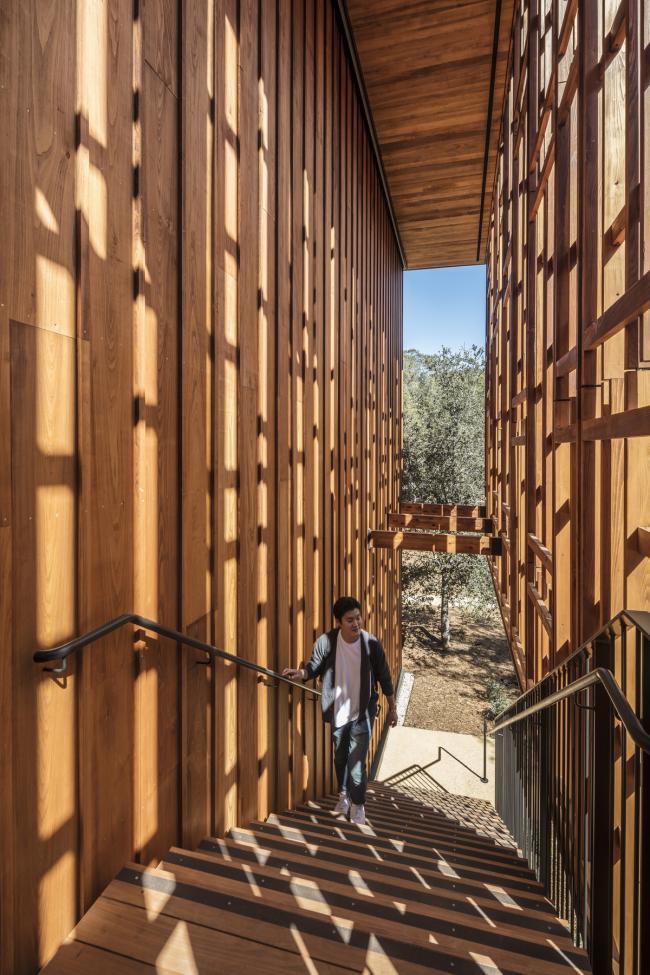 BIM建筑|光影斑驳，坐落湖畔的学术交换中间