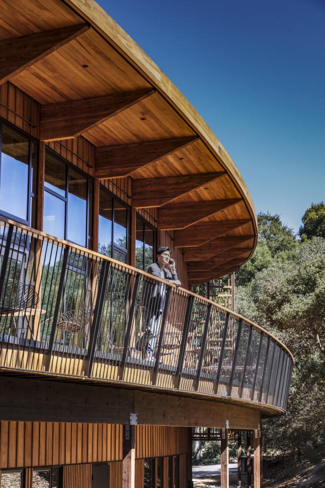 BIM建筑|光影斑驳，坐落湖畔的学术交换中间