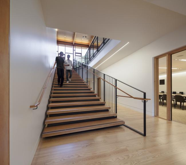 BIM建筑|光影斑驳，坐落湖畔的学术交换中间