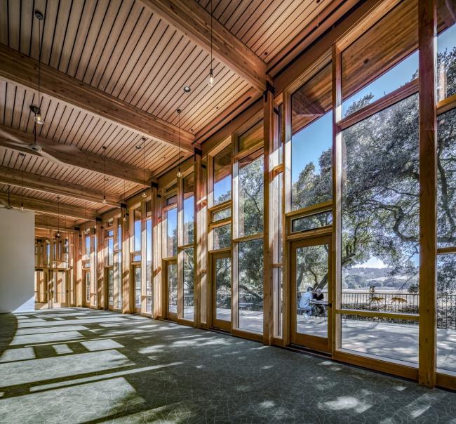 BIM建筑|光影斑驳，坐落湖畔的学术交换中间