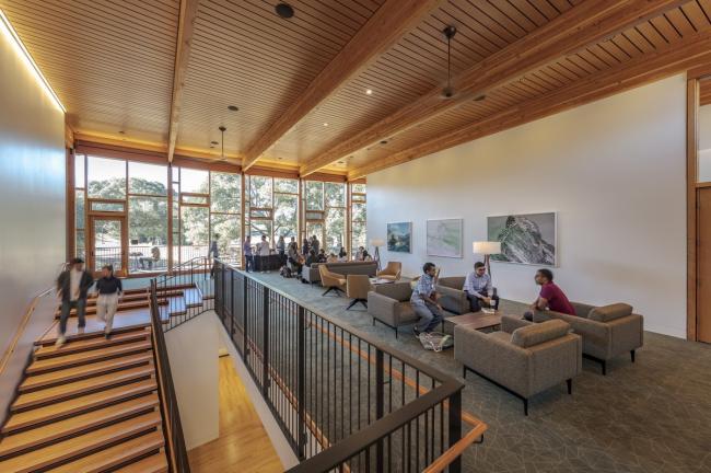 BIM建筑|光影斑驳，坐落湖畔的学术交换中间