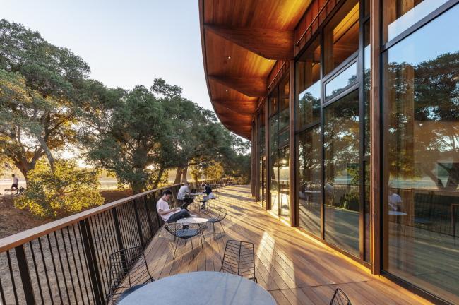 BIM建筑|光影斑驳，坐落湖畔的学术交换中间