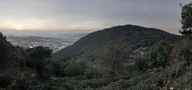 BIM建筑|茂林清泉，焚喷鼻喝茶：茶言不雅舍 / 是合设计工作室