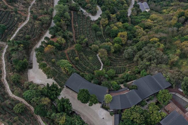 BIM建筑|茂林清泉，焚喷鼻喝茶：茶言不雅舍 / 是合设计工作室