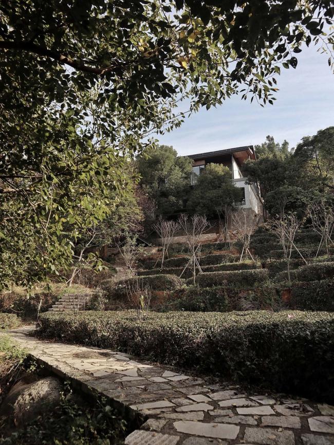 BIM建筑|茂林清泉，焚喷鼻喝茶：茶言不雅舍 / 是合设计工作室