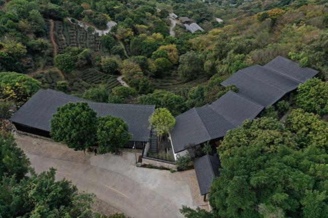 BIM建筑|茂林清泉，焚喷鼻喝茶：茶言不雅舍 / 是合设计工作室