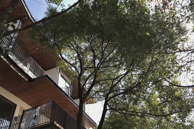 BIM建筑|茂林清泉，焚喷鼻喝茶：茶言不雅舍 / 是合设计工作室