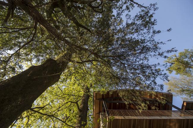 BIM建筑|人工化的天然-松阳原舍 · 揽树山房 / gad · line+ studio