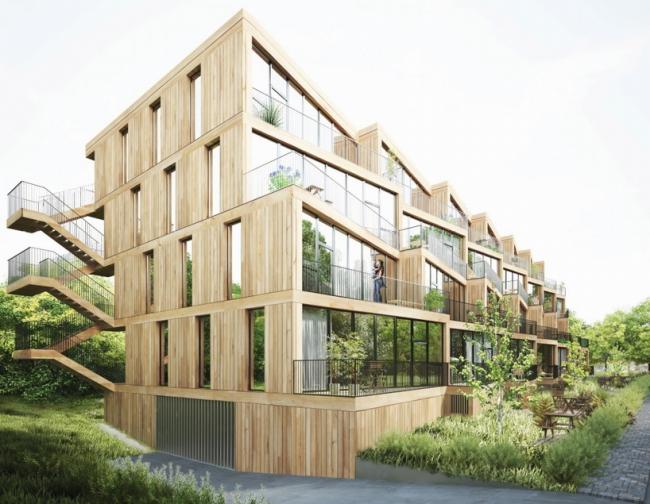 BIM建筑|NL Architects + STUDYO 为法兰克福设计梯田式经济实用房