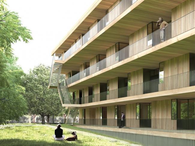 BIM建筑|NL Architects + STUDYO 为法兰克福设计梯田式经济实用房