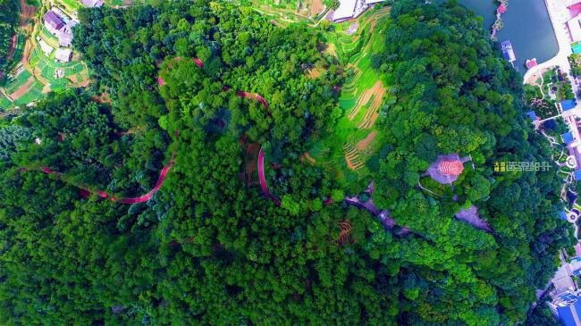 BIM建筑|陌上花开的乡土景不雅——福建年夜田绿道计划设计 / 上海选泉设计