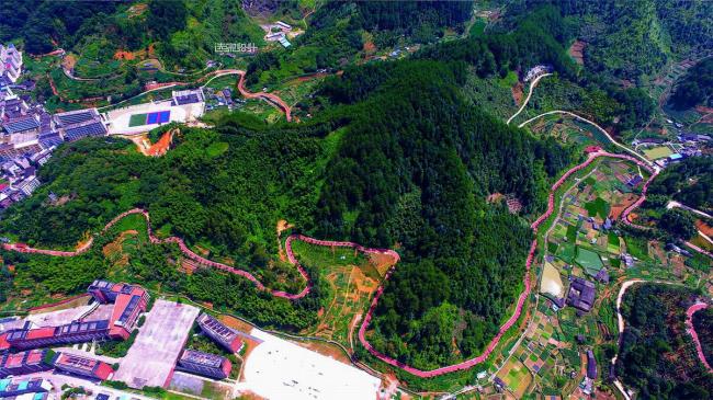 BIM建筑|陌上花开的乡土景不雅——福建年夜田绿道计划设计 / 上海选泉设计