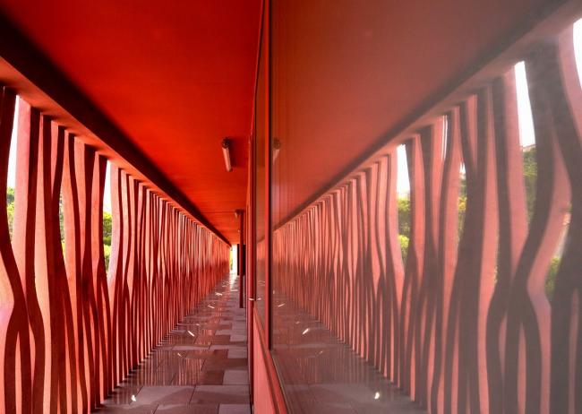 BIM建筑|高耸于年夜海之上，闪烁着赭色珊瑚的深邃深挚：海洋不雅测站国际住宿中间