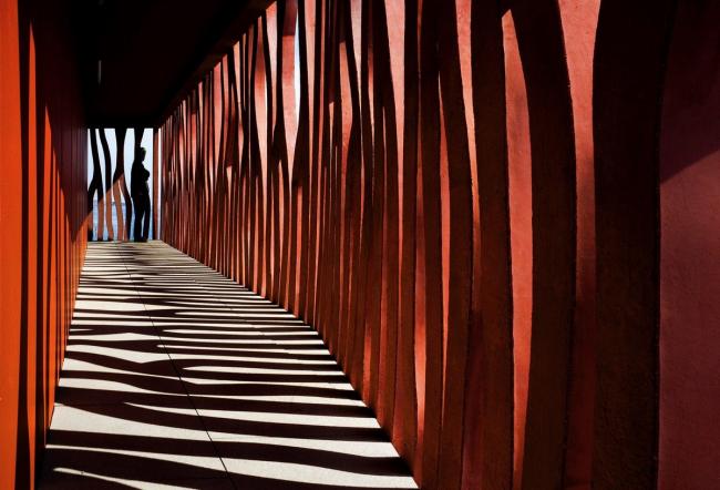 BIM建筑|高耸于年夜海之上，闪烁着赭色珊瑚的深邃深挚：海洋不雅测站国际住宿中间