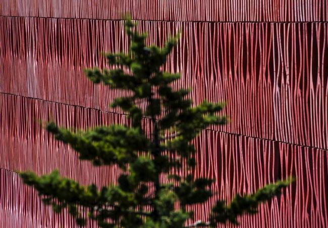 BIM建筑|高耸于年夜海之上，闪烁着赭色珊瑚的深邃深挚：海洋不雅测站国际住宿中间