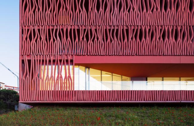 BIM建筑|高耸于年夜海之上，闪烁着赭色珊瑚的深邃深挚：海洋不雅测站国际住宿中间