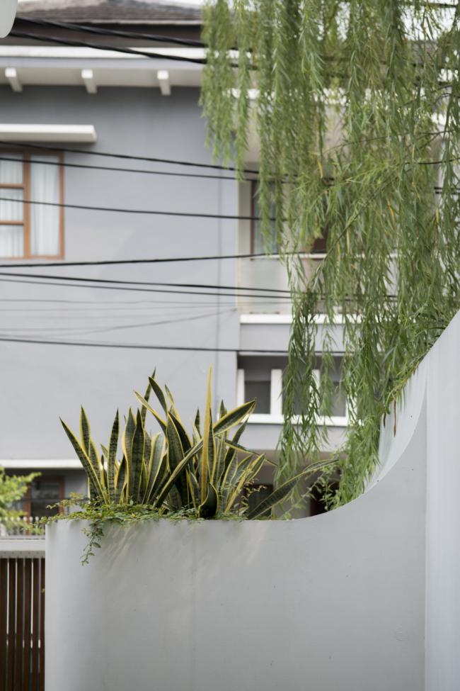 BIM建筑|别有洞天，柔和曲线勾画的纯白雕塑